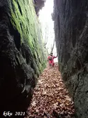 Bora del Camí - Miniatura 3, Esquirol, L'
