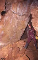 Grallera de Corona - Miniatura 6, Sant Esteve de la Sarga