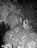 Avenc d'en Roca - Thumbnail 3, Cervelló