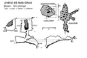 Avenc de Mas Grau - Miniatura 1, Begues