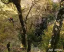 Graller de Gurp - Miniatura 7, Tremp