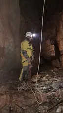 Grallera de Catllarí - Thumbnail 3, Fígols