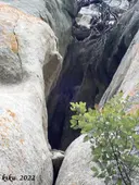 Cova Mitja del Puig de les Balmes - Miniatura 2, Tavertet