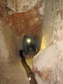 Cova de la Font Nova - Miniatura 4, Alfara de Carles