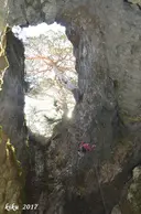 Grallera de Cambrils - Miniatura 5, Odèn