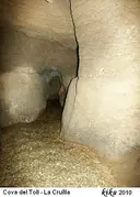 Cova del Toll - Miniatura 18, Moià