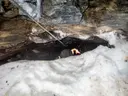 Cigalèra Deth Malh Blanc - Thumbnail 4, Vielha e Mijaran