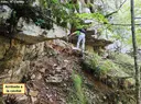 Cova dels Encantats de la Massanella - Миниатюра 2, Albanyà