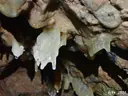 Graller d'en Remigi Moli - Miniatura 17, Tremp