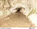 Cova del Toll - Miniatura 24, Moià