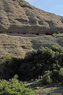 Coves del Bisbe - Miniatura 1, Mura