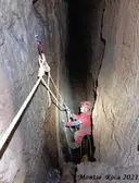 Cova d'en Peixet - Miniatura 31, Febró, La