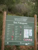 Coves de Ses Falugues - صورة مصغرة 1, Begur
