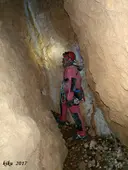 Avenc dels Rocs de l'esteve - Miniatura 10, Coll de Nargó