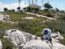 Avenc Sm-11 del Serrat de la Morella - Thumbnail 1, Begues