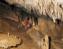 Cova de la Rabosa - Miniatura 15, Perelló, El