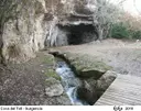Cova del Toll - Miniatura 22, Moià