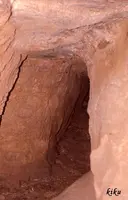 Cova del Llop - Miniatura 2, Avellanes i Santa Linya, Les