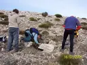 Avenc dels Científics - Miniatura 1, Arnes
