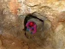Pou de la Calella - Miniatura 6, Torroella de Montgrí