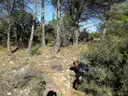 Cova Xerolina - Miniatura 1, Pontons