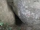 Cova Gran - Miniatura 1, Arbolí