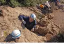 Avencs de la Desfeta - Miniatura 4, Gavà