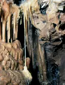 Cova Marigot - Thumbnail 5, Benifallet