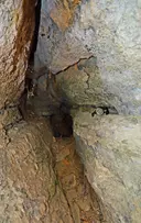 Cova del Castell S'avellana - Miniatura 4, Masies de Roda, Les