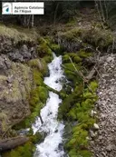 Feus del Riu de Mola - Miniatura 2, Josa i Tuixén