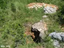 Esquerda Petita de les Alzines - Miniatura 2, Vallirana