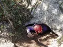 Cova del Mas de la Llana - Miniatura 1, Vallclara