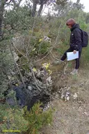 Bòfia de la Valldan - Miniatura 1, Odèn