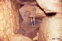 Avenc Montserrat Ubach - Thumbnail 11, Odèn