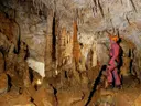 Cova de la Rabosa - Miniatura 11, Perelló, El