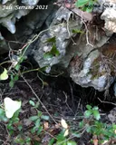 Avenc Sm-13 de la Serra del Mas - Miniatura 2, Vallirana
