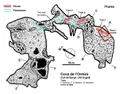 Cova de l'Ormini - Miniatura 2, Coll de Nargó