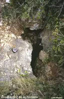 Cova-avenc de la Troneda - Miniatura 1, Begues