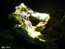 Avenc de la Molada - Miniatura 4, Albinyana