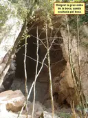 Forat Negre d'escales - Thumbnail 1, Montagut i Oix
