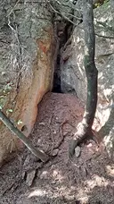 Cova dels Llimacs - Miniatura 2, Sant Llorenç Savall