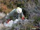 Grallera Petita d'Alsamora - Thumbnail 2, Sant Esteve de la Sarga
