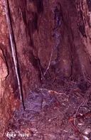 Forat de la Roqueta - Miniatura 8, Conca de Dalt