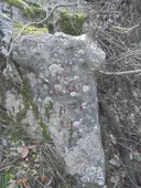 Cova de Cal Sant - Miniatura 1, Llacuna, La