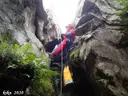 Cau Gran de la Carnisseria - Miniatura 3, Torroella de Montgrí