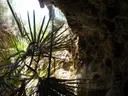 Avenc de les Comes - Miniatur 2, Perelló, El