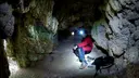 Cova Nº2 de Bosoms - صورة مصغرة 2, Guixers