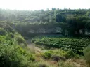 Cova Llarga - Miniatura 1, Subirats