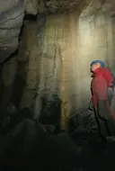 Cova Muria - Miniatura 5, Alfara de Carles