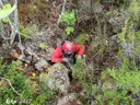 Avenc de la Figuera - Miniatura 1, Montblanc